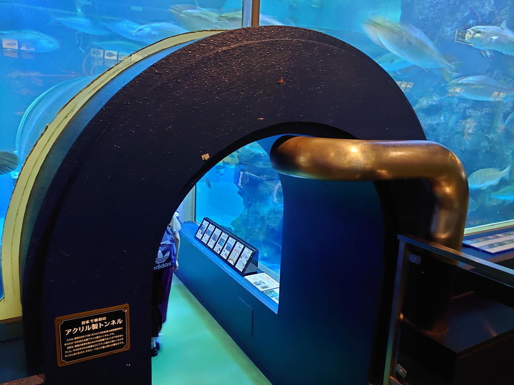 http://birdy.mydns.jp/~annex/images/2019/DSC_0453.jpg