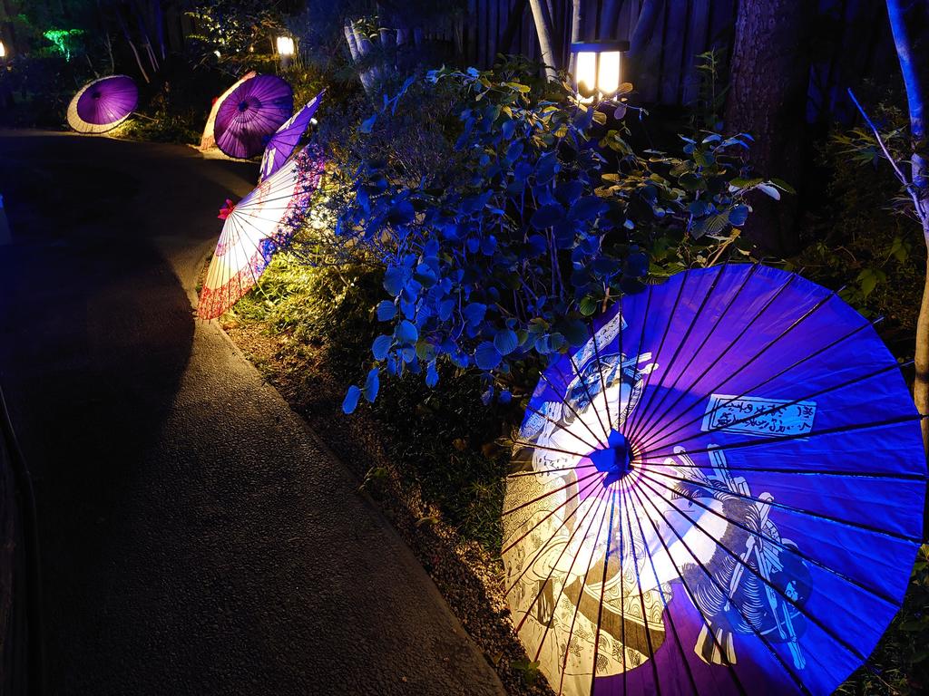 http://birdy.mydns.jp/~annex/images/2020/DSC_1182.JPG