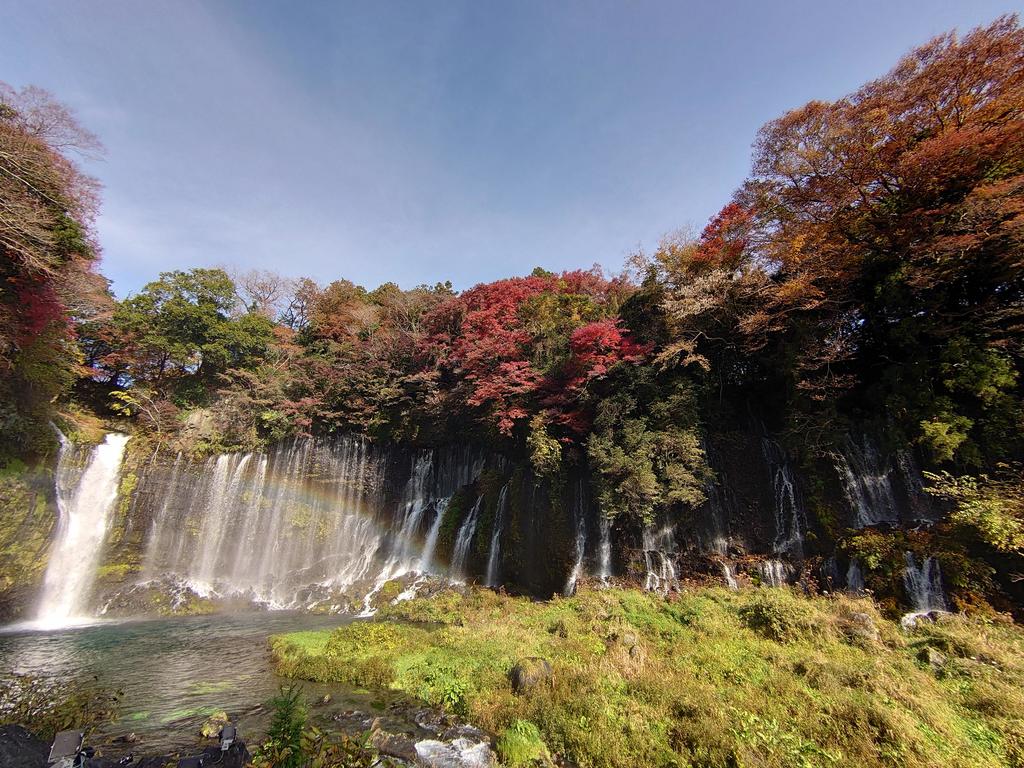 http://birdy.mydns.jp/~annex/images/2022/DSC_2159.JPG