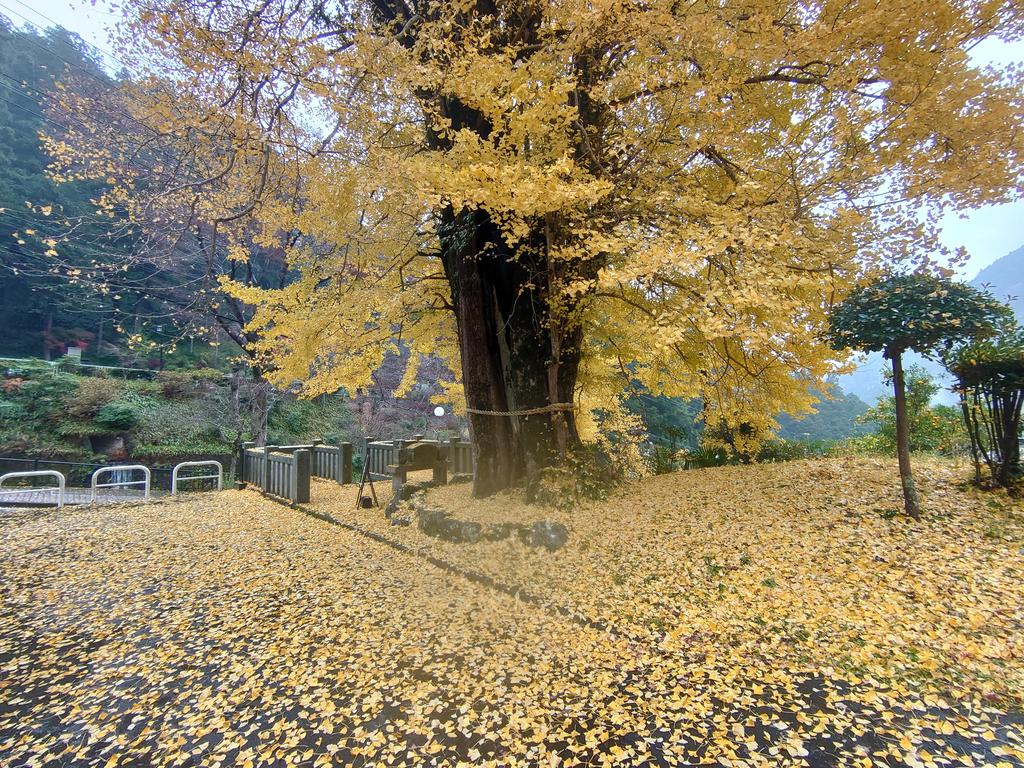 http://birdy.mydns.jp/~annex/images/2022/DSC_2266.JPG