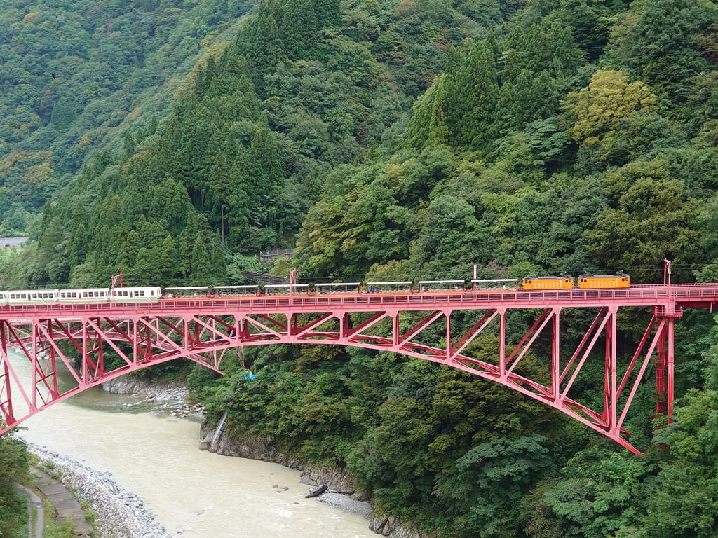 http://birdy.mydns.jp/~annex/images/DSC_0039_BURST20190912081854327.jpg