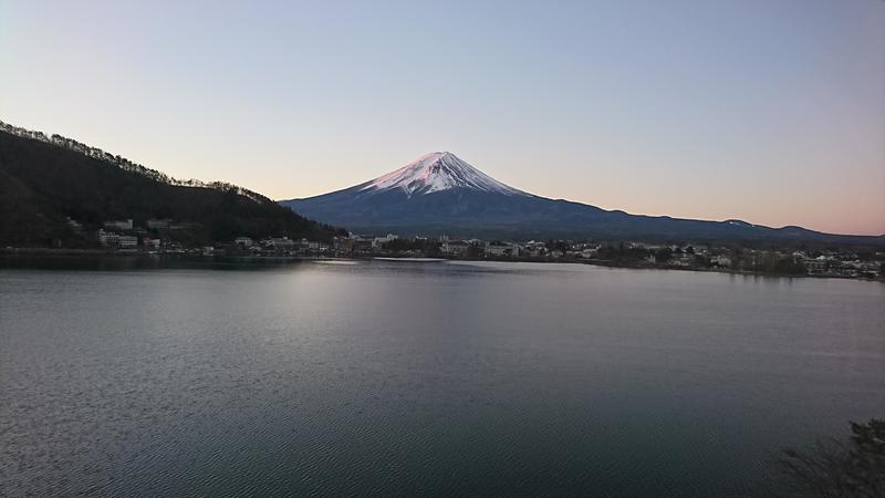 http://birdy.mydns.jp/~annex/images/DSC_2069.JPG